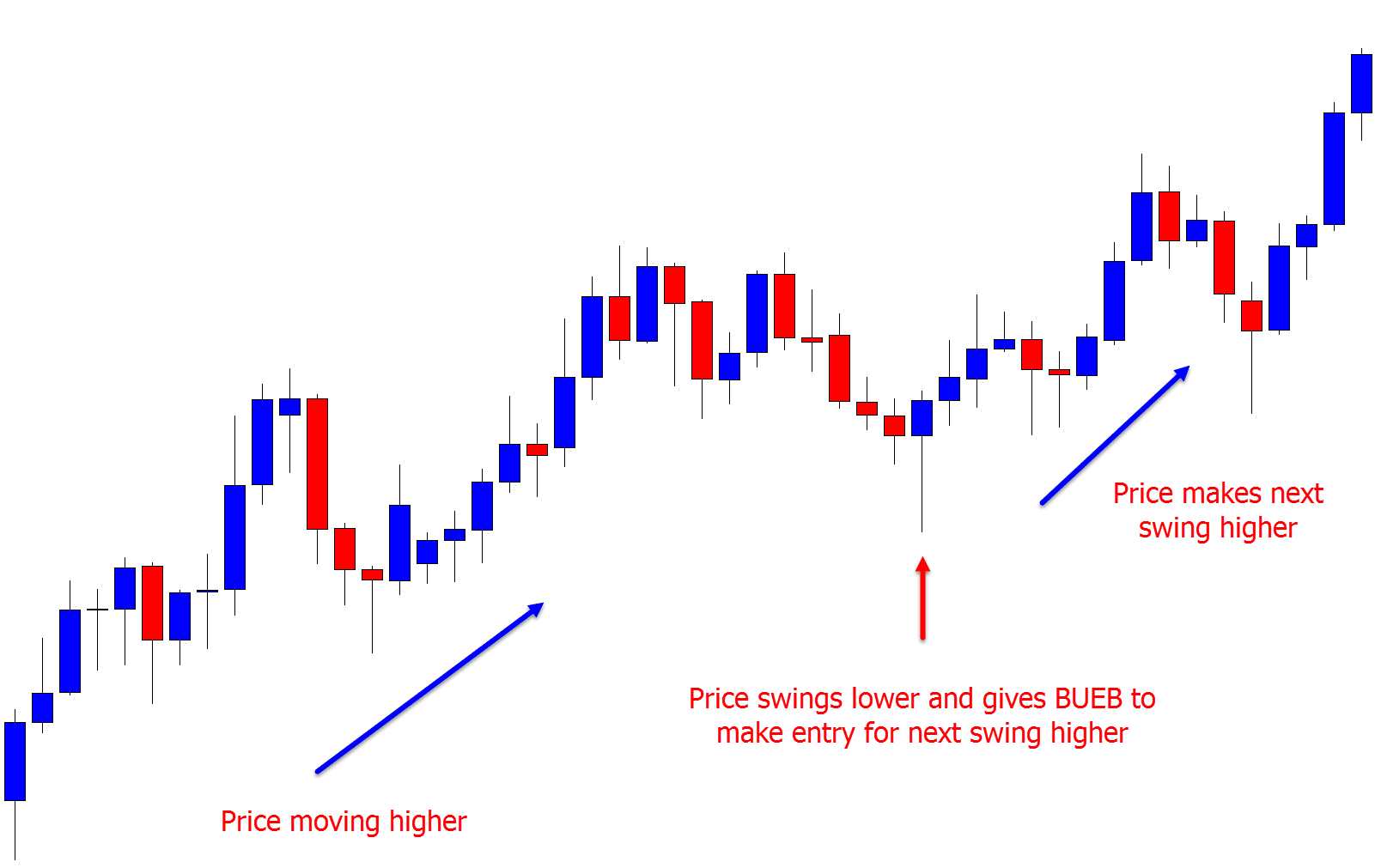 forex trading for beginners questions